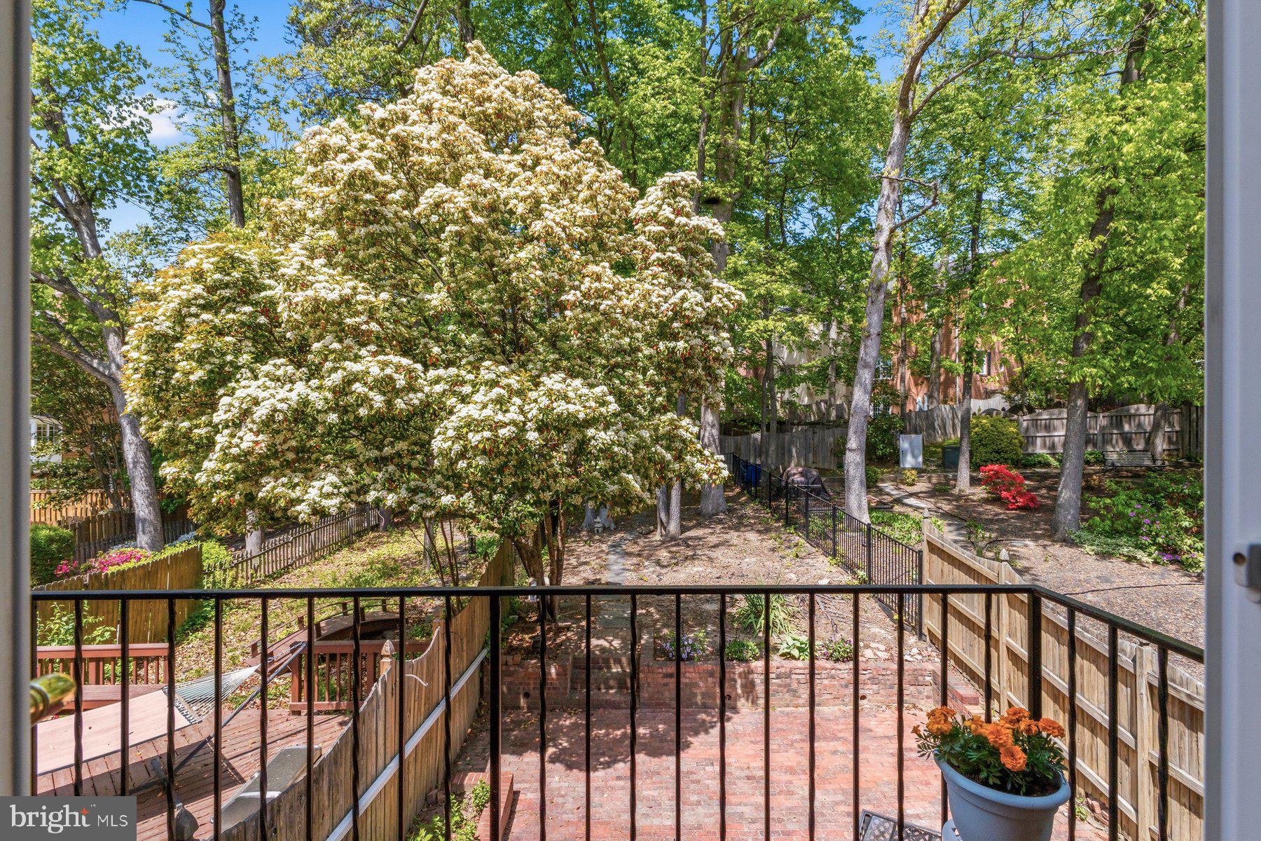 8240 Taunton Place Springfield, VA 22152 - Photo 31 of 48