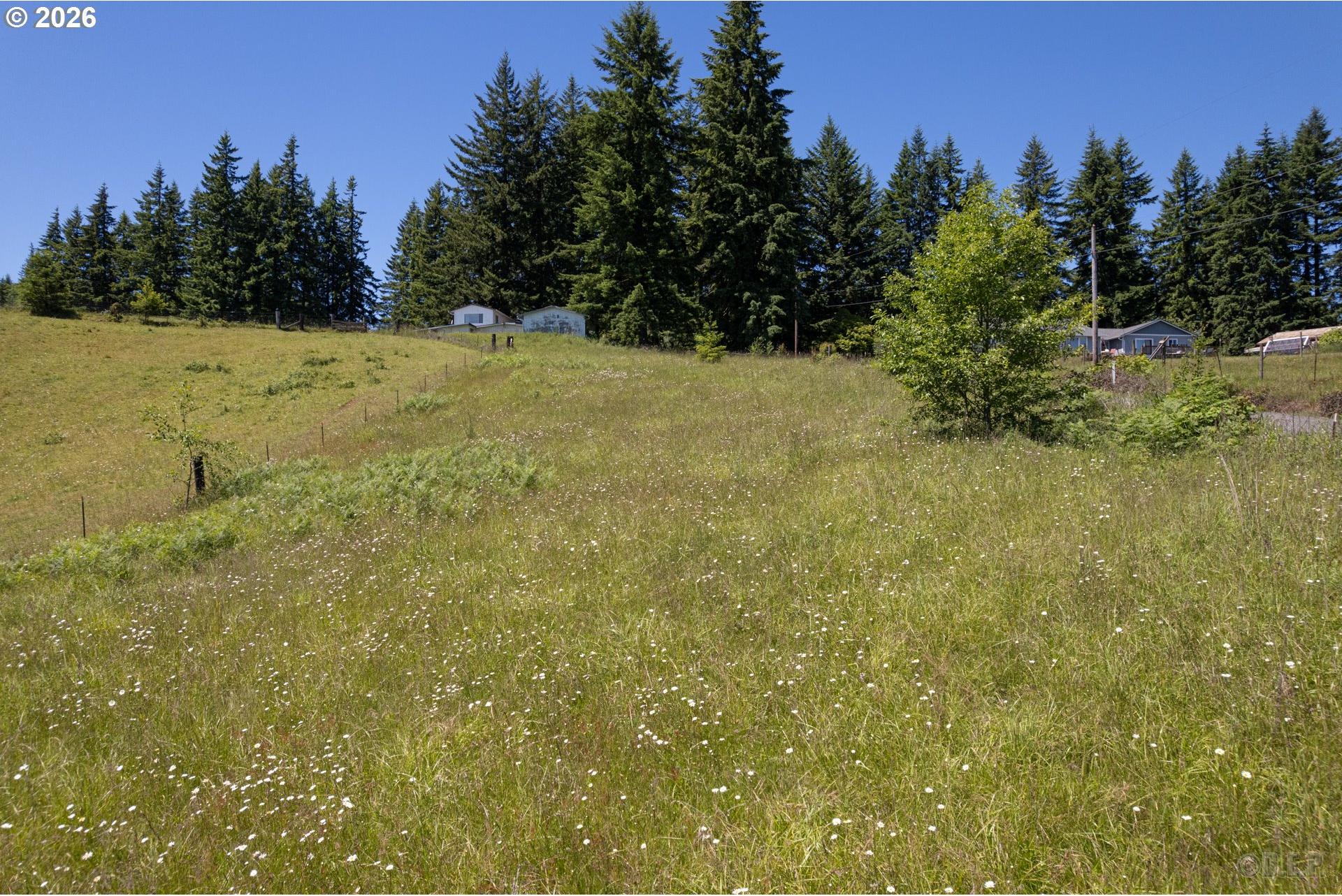 27546 Clark Road Deer Island, OR 97054 - Photo 3 of 21 Gallery Image 3