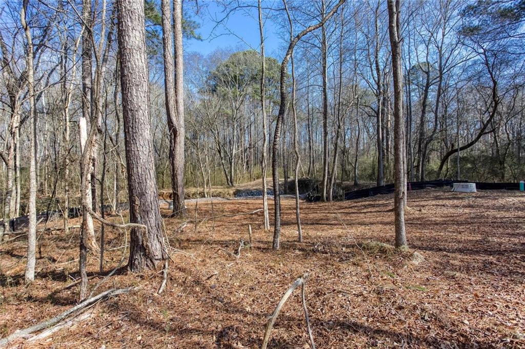 3454 Velma Drive Powder Springs, GA 30127 - Photo 44 of 58