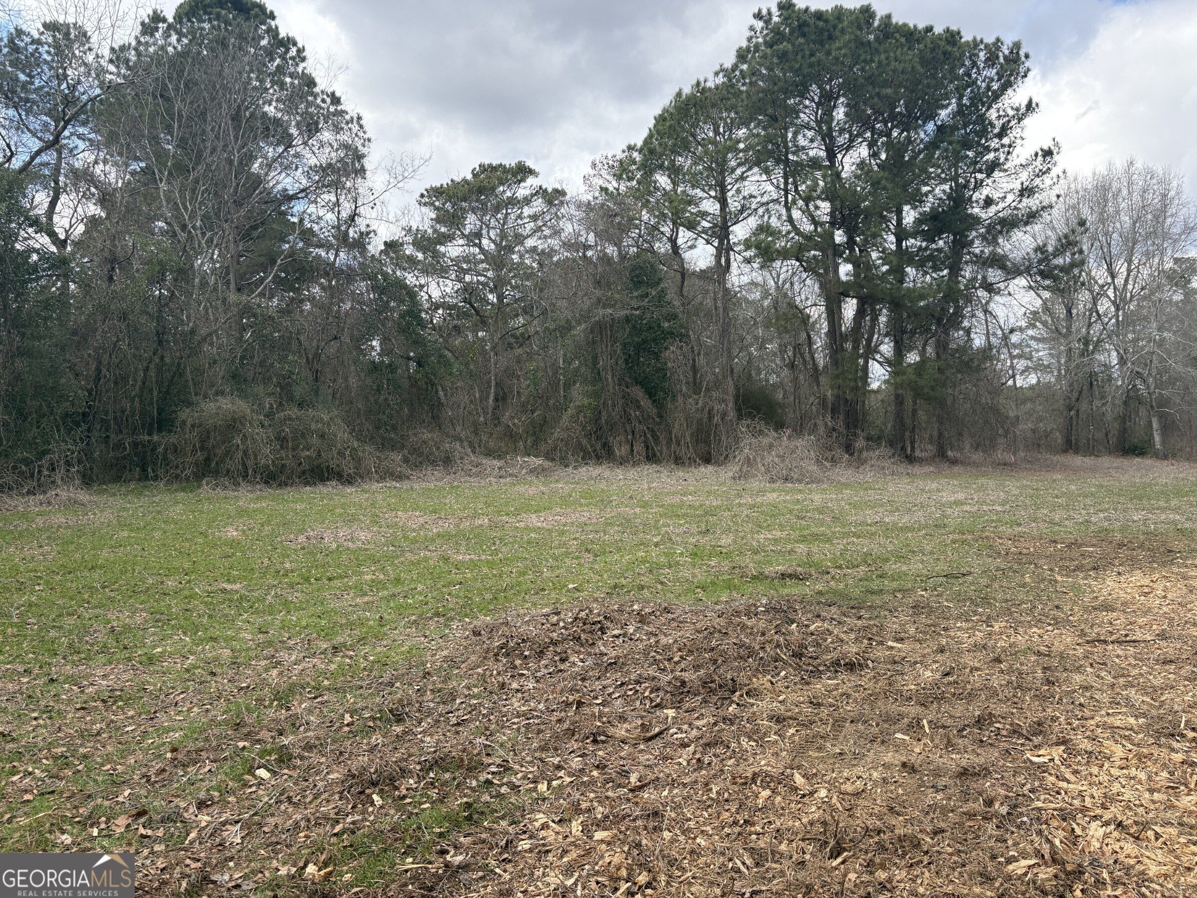 L2 Keysville-boggs Academy Road Keysville, GA 30816 - Photo 6 of 6