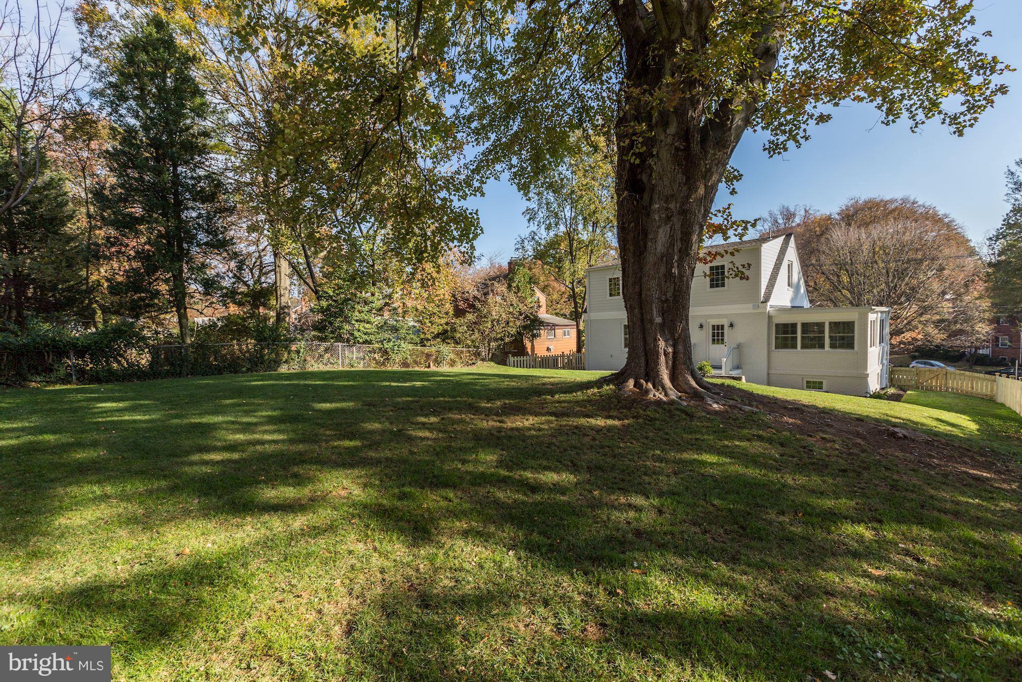 10012 Greenock Road Silver Spring, MD 20901 - Photo 29 of 30 Exterior (Rear)