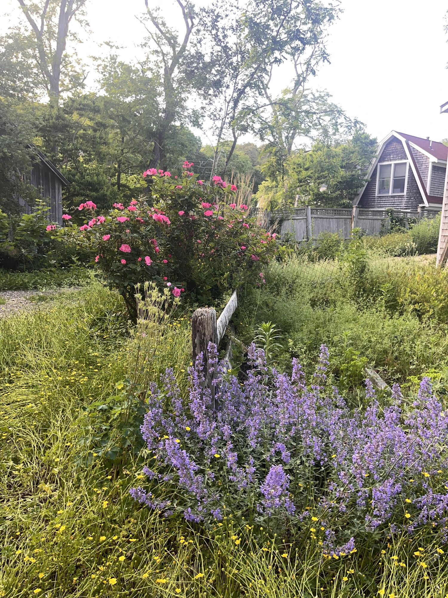 4 Slade Hill Road Truro, MA 02666 - Photo 16 of 18 Slade 8