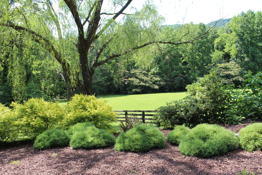 0 Wolf Mountain Road Murphy, NC 28906 - Photo 4 of 9