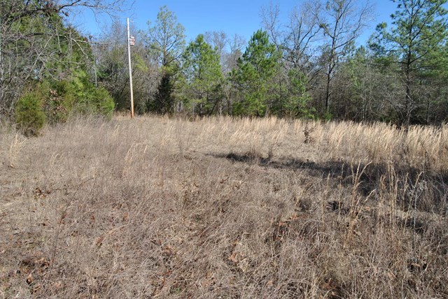 4847 Wriley Road McIntyre, GA 31054 - Photo 14 of 15 Additional Photo