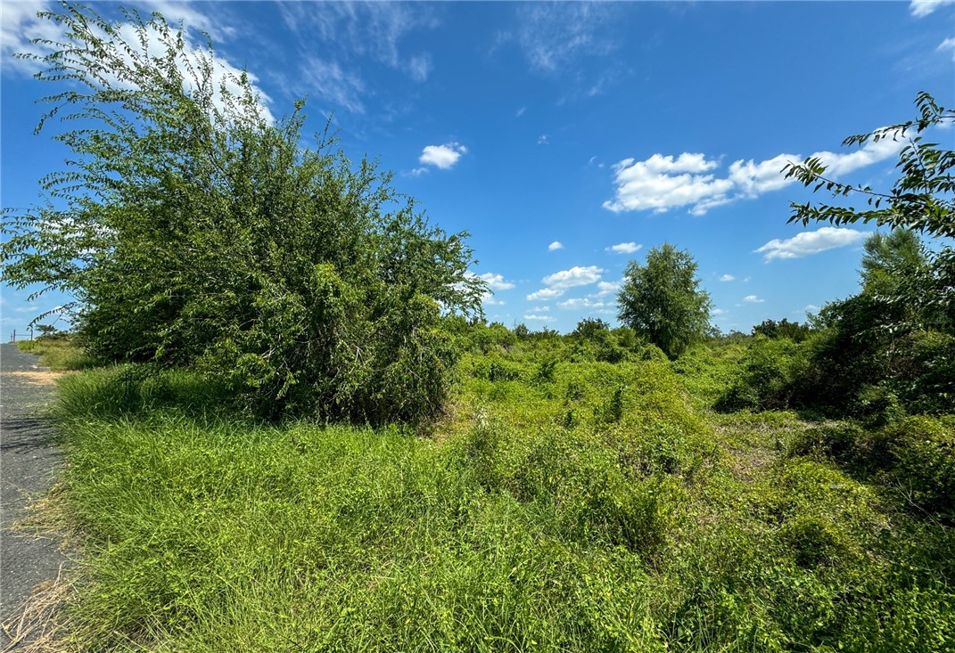 0 Deer Run Terrace Three Rivers, TX 78071 - Photo 8 of 9