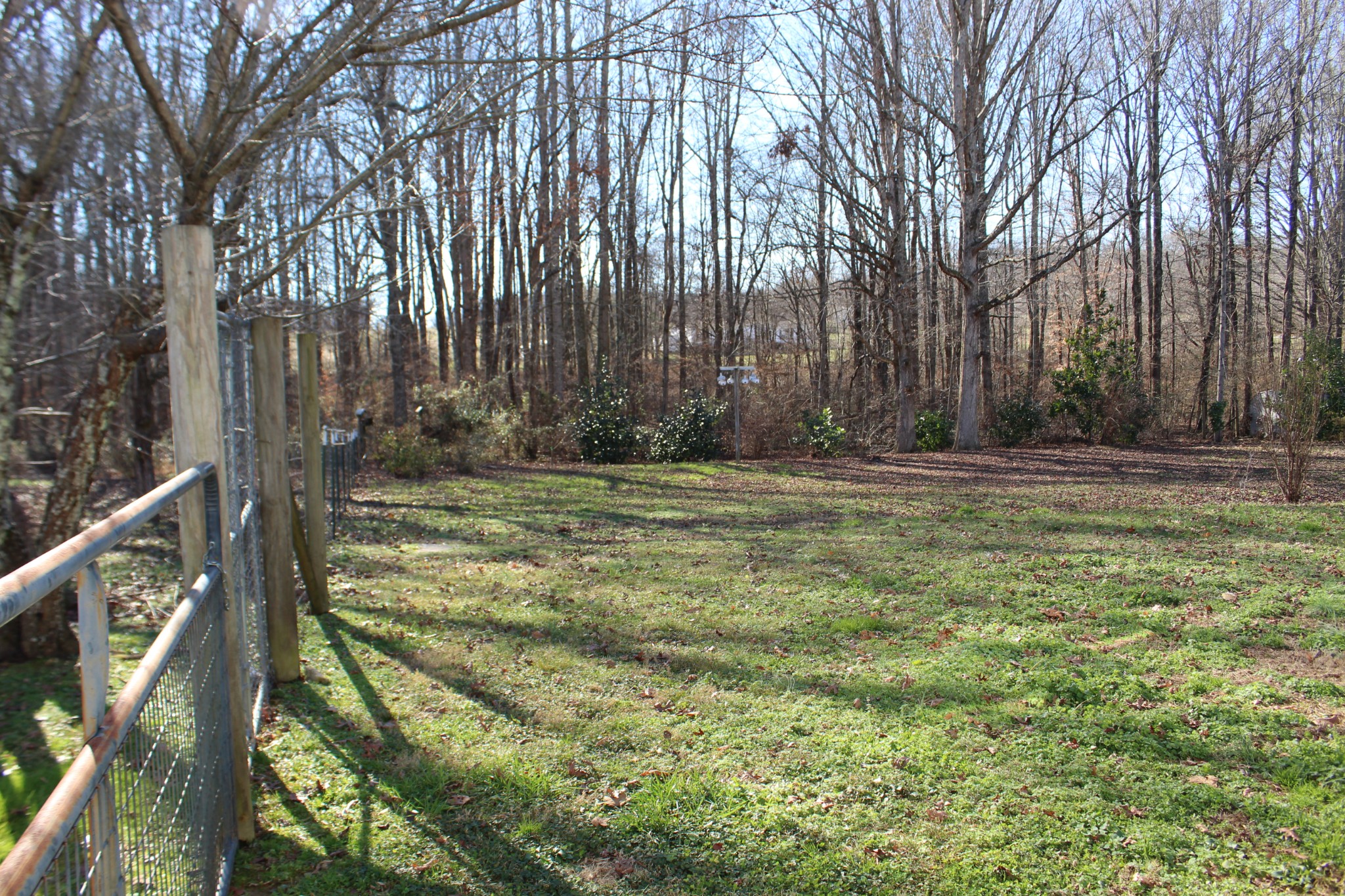 108 Wimbley Road Estill Springs, TN 37330 - Photo 24 of 27 a backyard of a house with lots of green space and trees