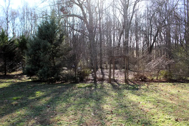 a view of outdoor space and yard