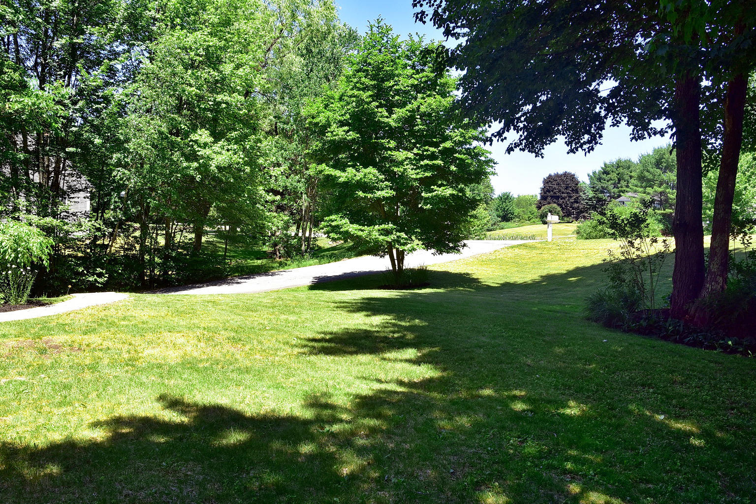 24 Oak Ridge Drive Standish, ME 04084 - Photo 39 of 45 Front Yard