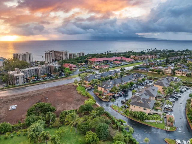 a aerial view of a house with a yard and potted plants