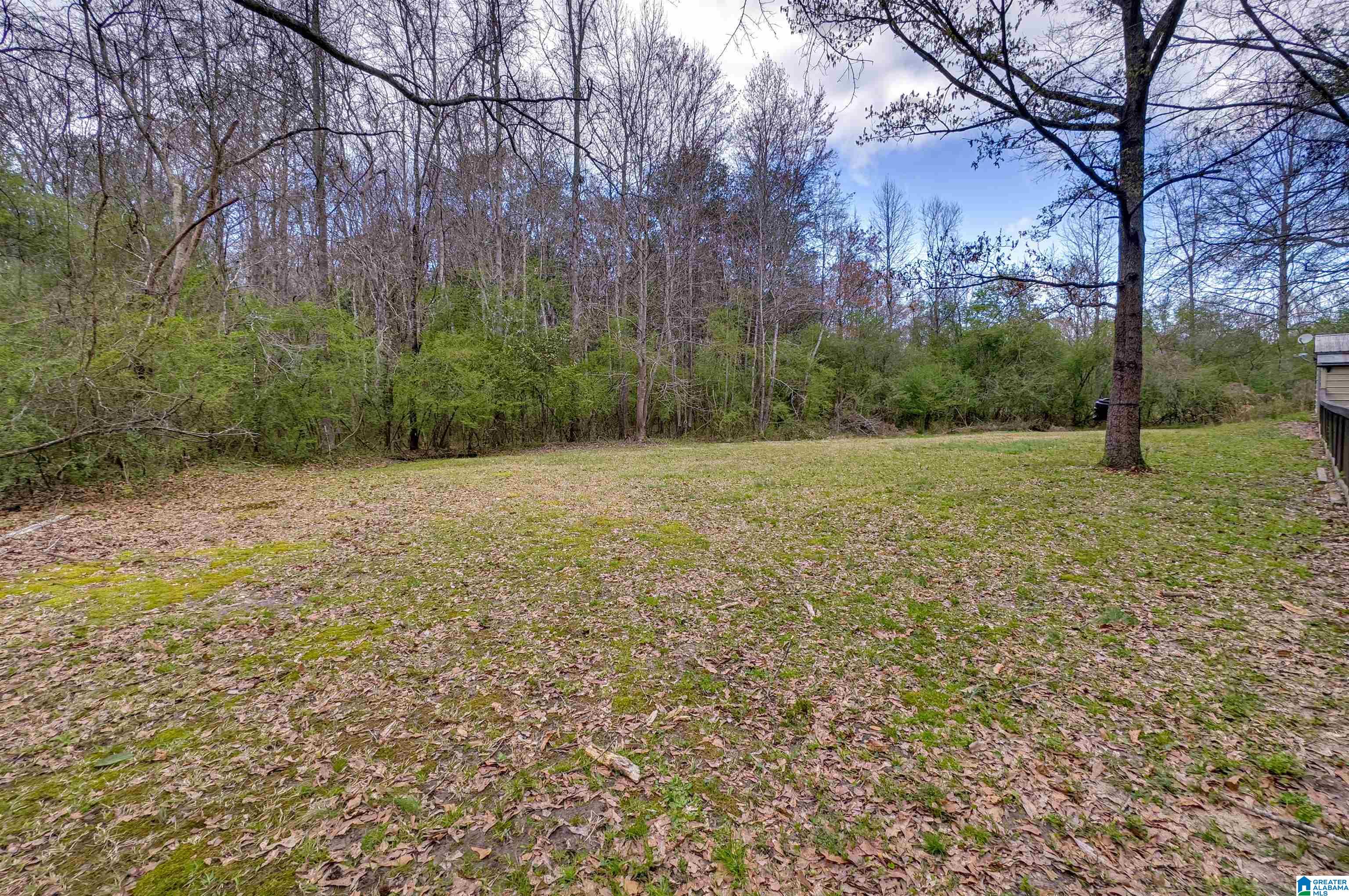 303 Mae Street Clanton, AL 35045 - Photo 51 of 57