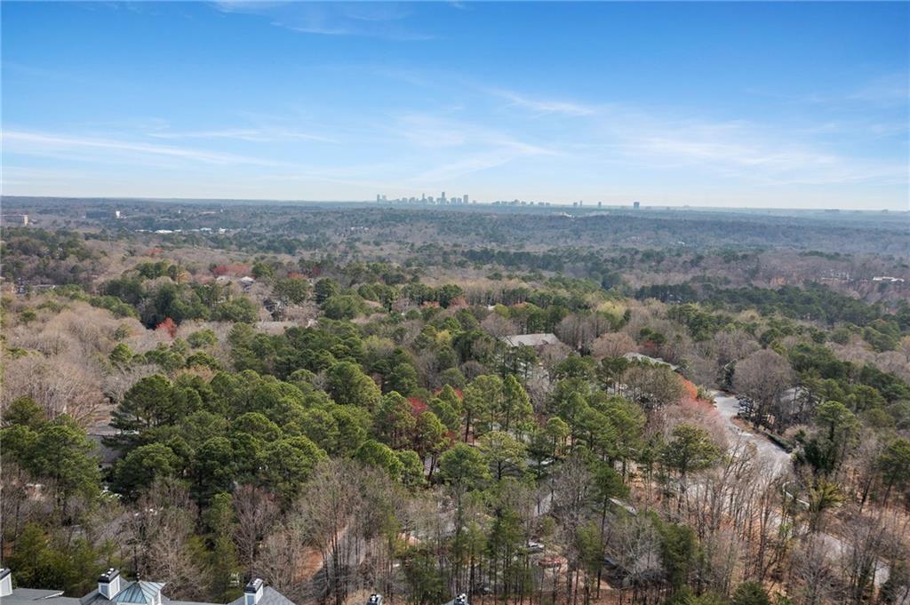 4100 Paces Walk Southeast, Unit 2203 Atlanta, GA 30339 - Photo 46 of 51