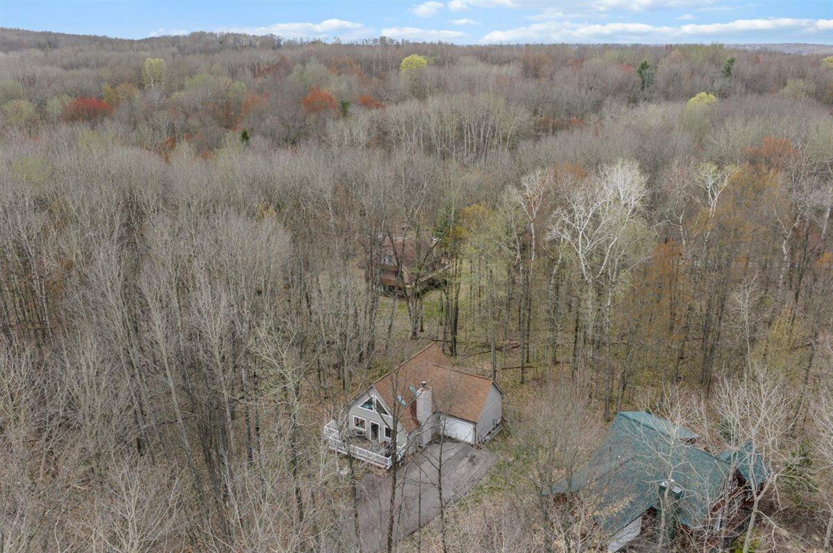 9341 Center Lane Canadian Lakes, MI 49346 - Photo 19 of 27 19 Overhead View