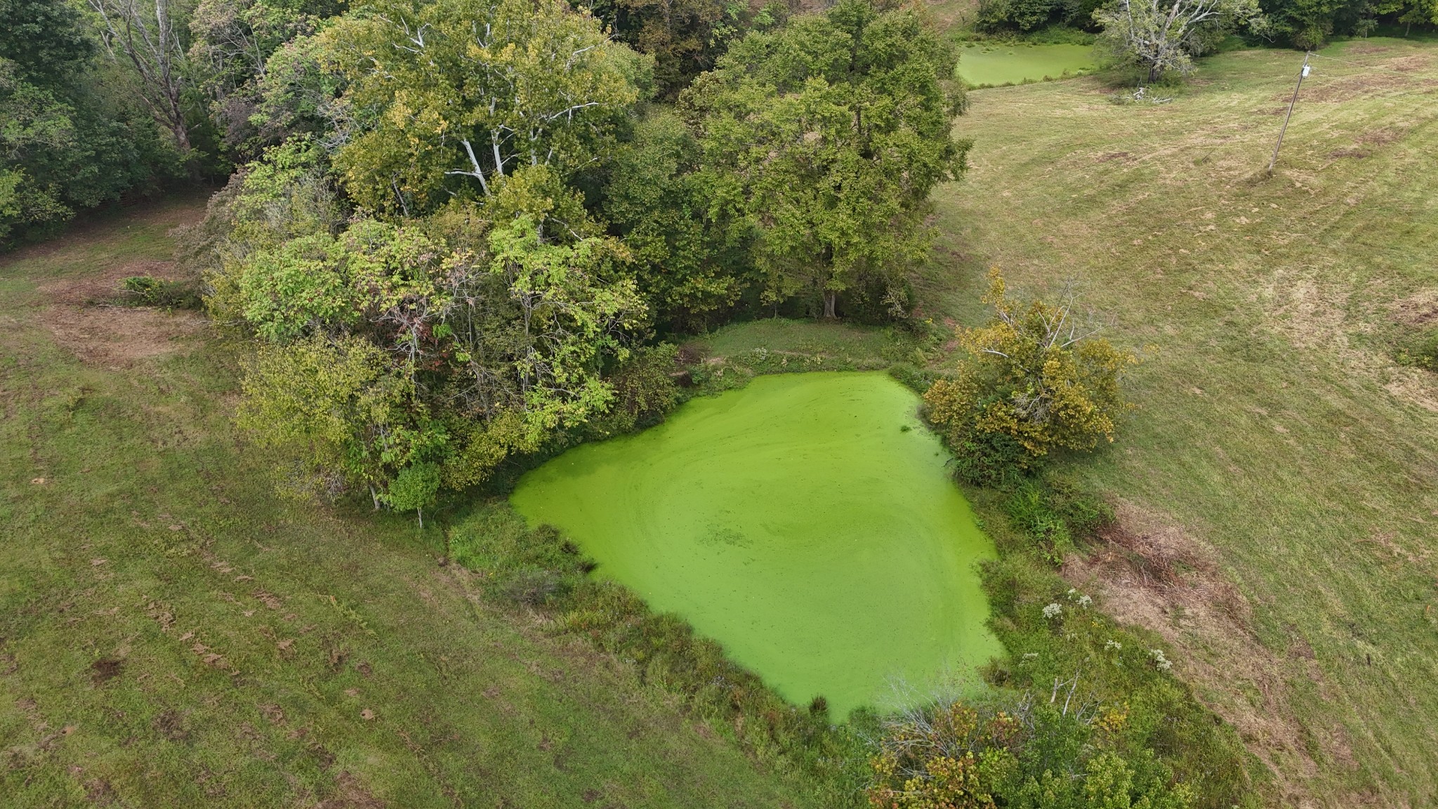 0 Bethany Road Red Boiling Springs, TN 37150 - Photo 24 of 51 a view of a garden with a lake