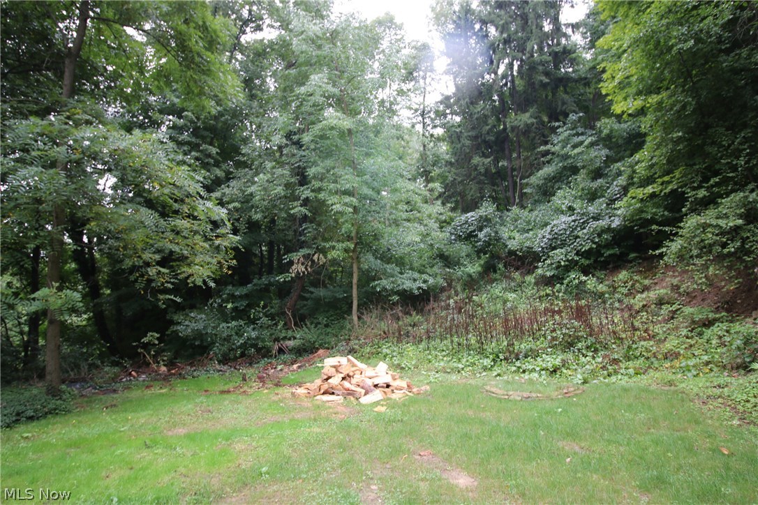 4338 Shaw Road Akron, OH 44333 - Photo 22 of 22