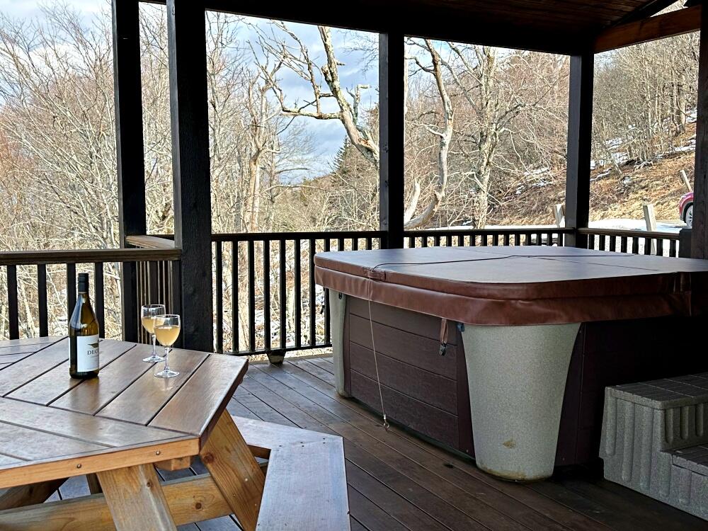 455 South Westridge Road Slatyfork, WV 26291 - Photo 42 of 81 hot tub1