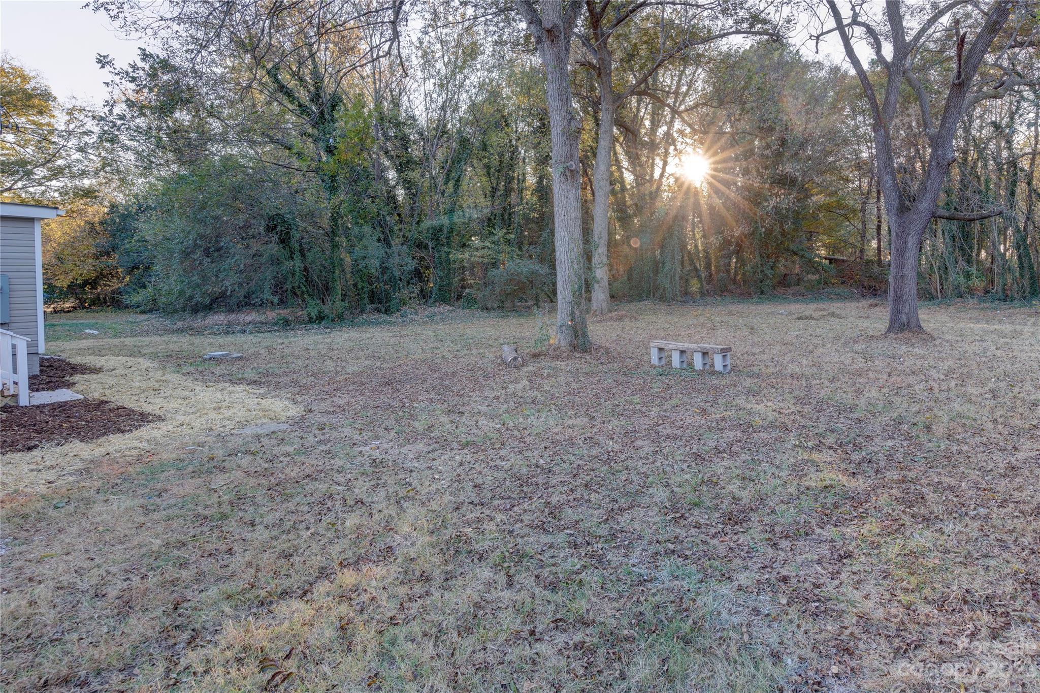 4641 Fallston Road Lawndale, NC 28090 - Photo 11 of 38 a view of a forest with trees in the background