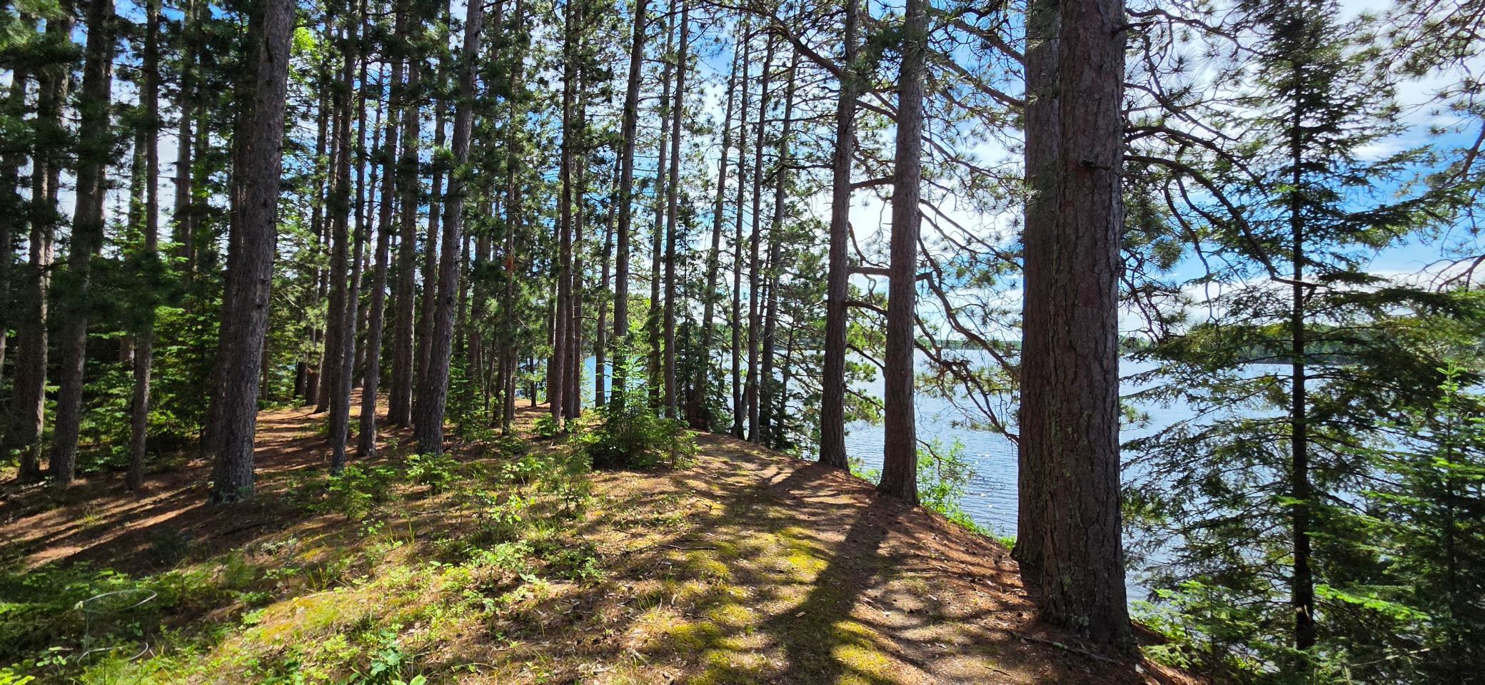51946 North Wasson Lake Road Bigfork, MN 56628 - Photo 6 of 52