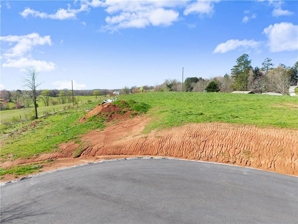 48 White Oak Trail Cleveland, GA 30528 - Photo 21 of 36 a view of a road with a yard