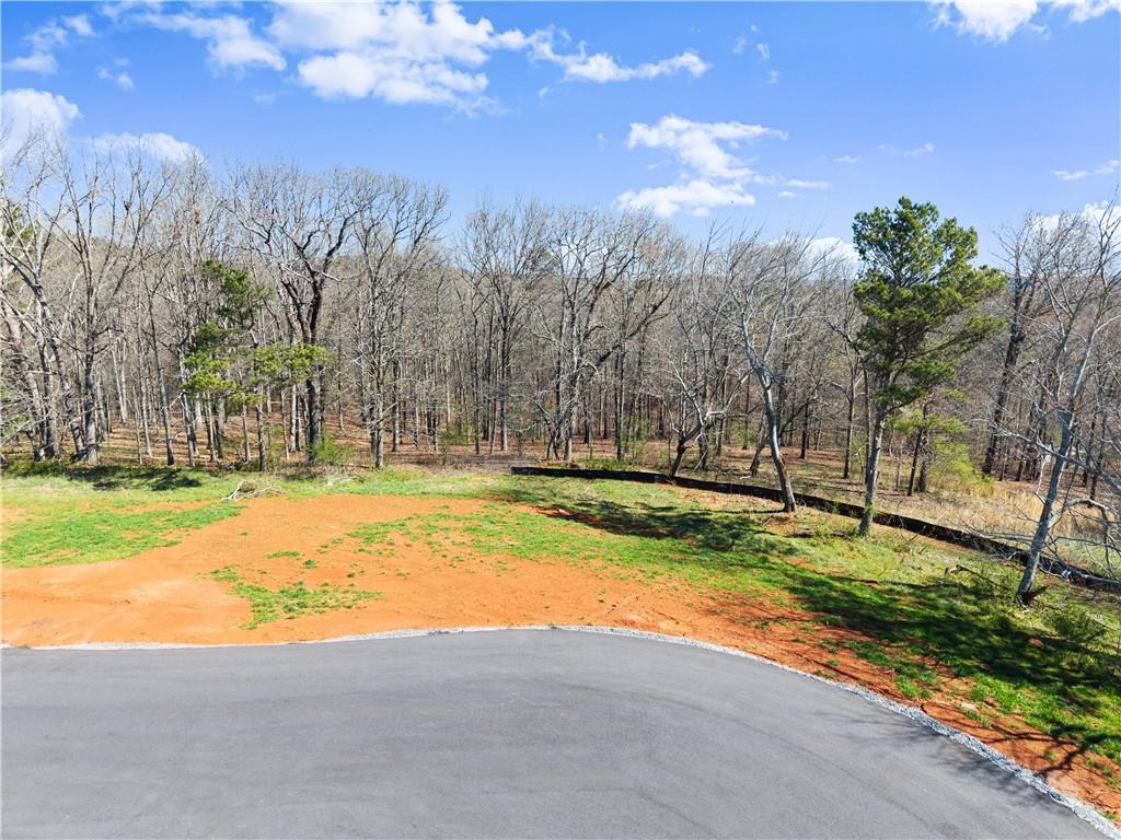 48 White Oak Trail Cleveland, GA 30528 - Photo 25 of 36 a view of yard with swimming pool and trees