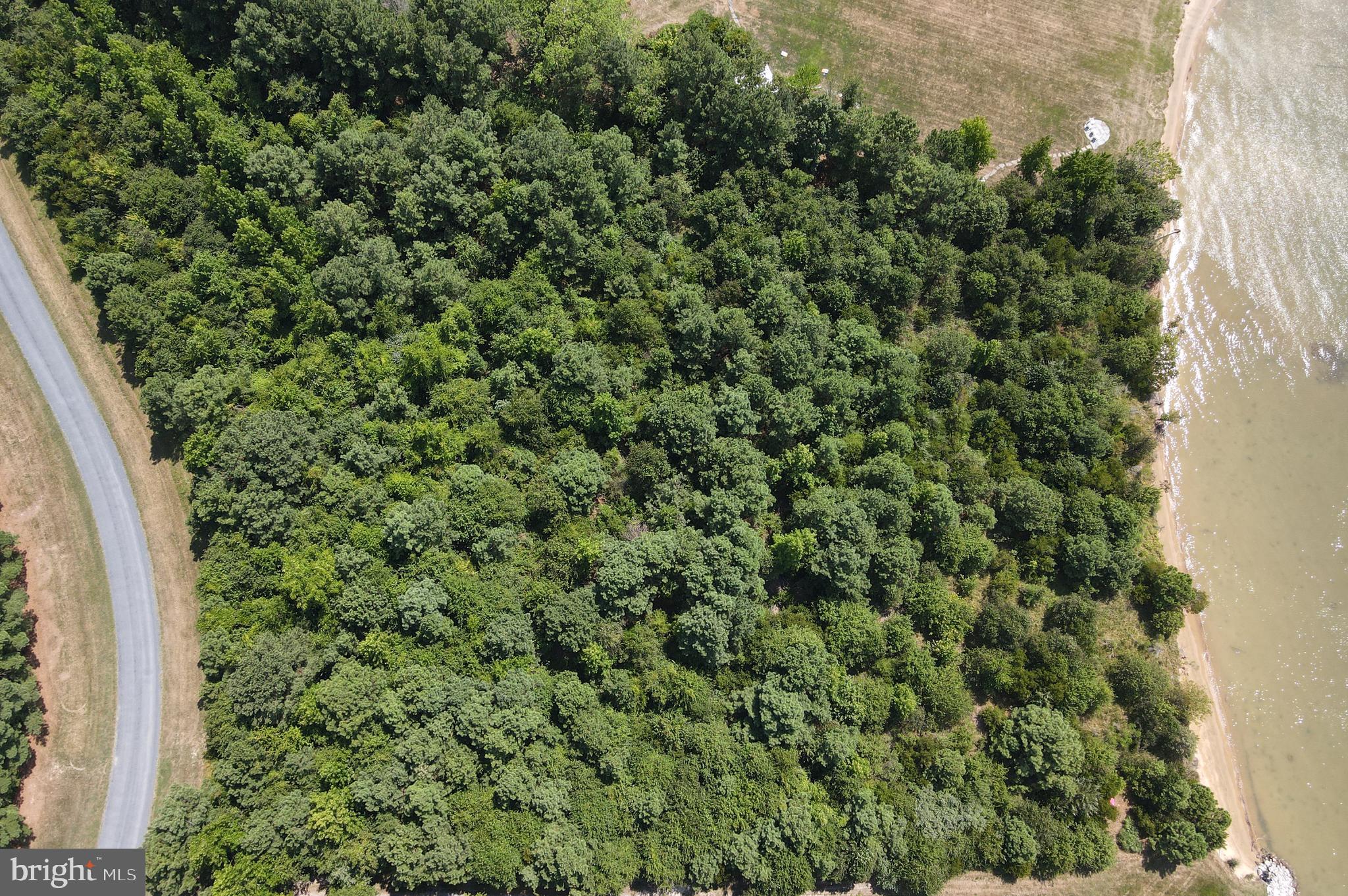 Ferry Cove Road Sherwood, MD 21665 - Photo 9 of 9