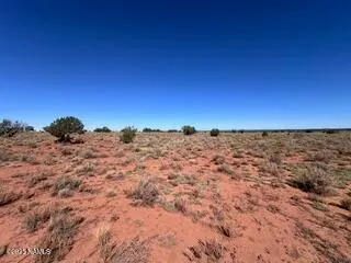 a view of a large building with a forest in the background