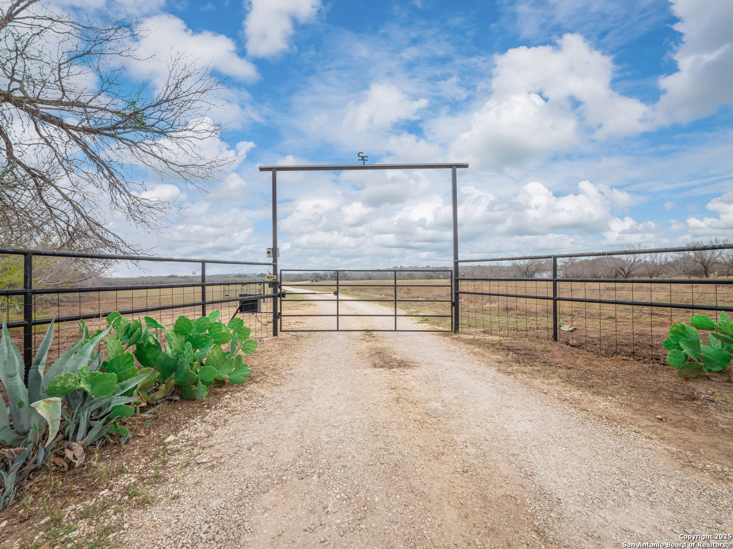 12330 Pearsall Road Atascosa, TX 78002 - Photo 7 of 7