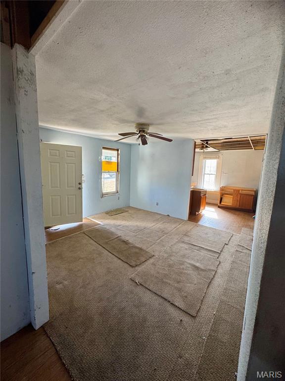 401 Main Street Leadwood, MO 63653 - Photo 19 of 19