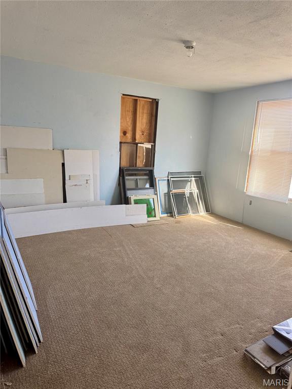 401 Main Street Leadwood, MO 63653 - Photo 7 of 19