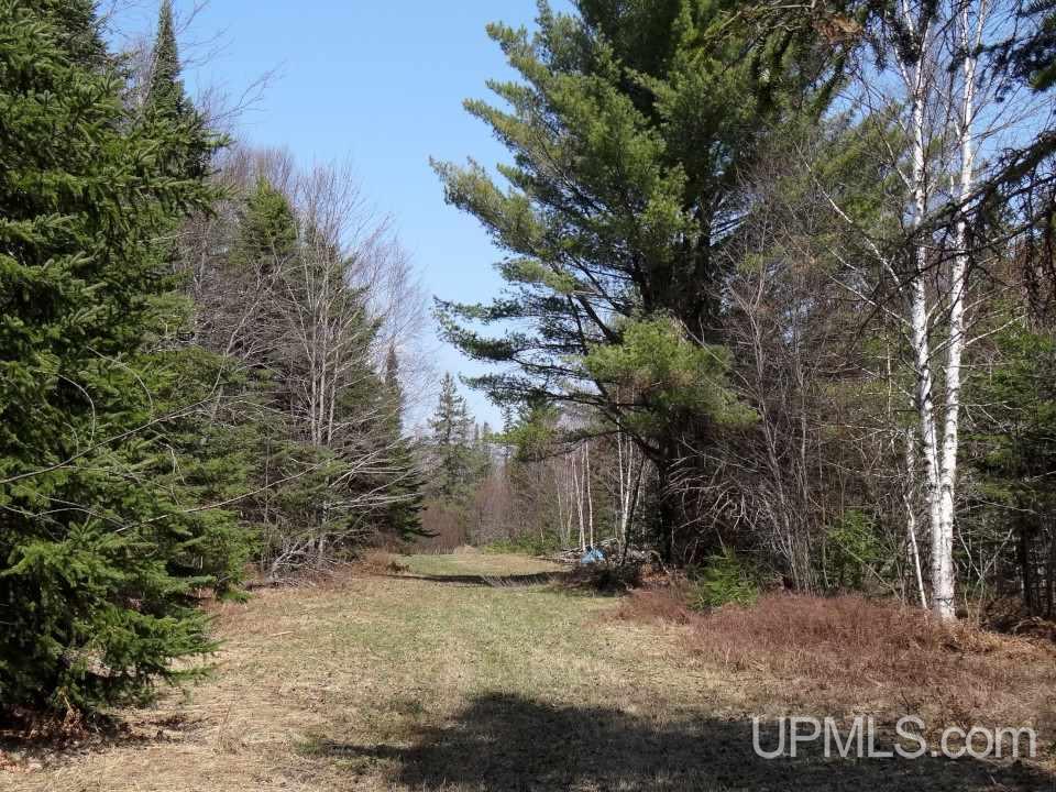 53502 Post Road Lake Linden, MI 49945 - Photo 18 of 36 Gallery Image 18