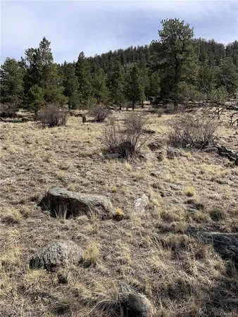 $249,000 | 2030 Puma Hills Road, Lake George, CO 80827