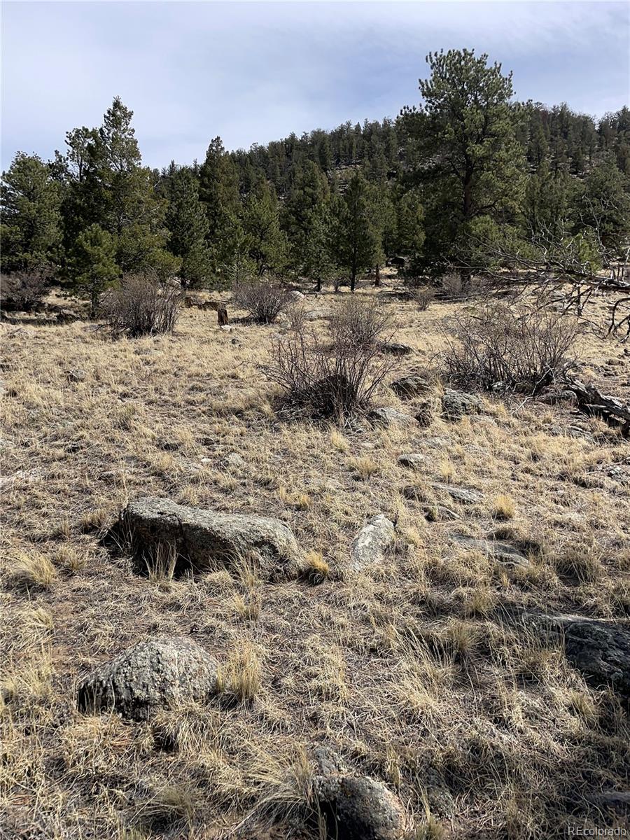 2030 Puma Hills Road Lake George, CO 80827 - Photo 13 of 36