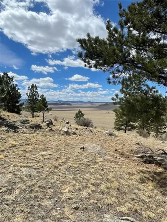 $249,000 | 2030 Puma Hills Road, Lake George, CO 80827