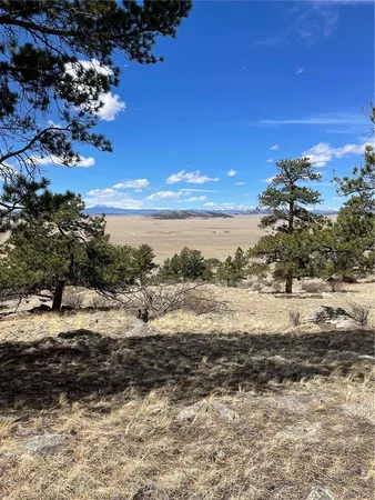 $249,000 | 2030 Puma Hills Road, Lake George, CO 80827