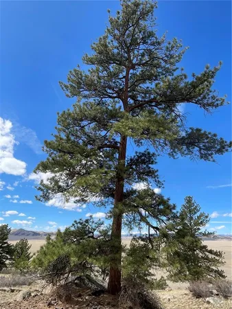 $249,000 | 2030 Puma Hills Road, Lake George, CO 80827