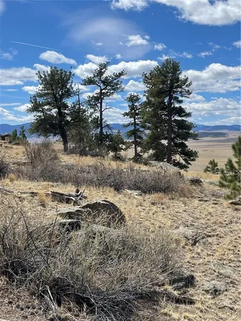 $249,000 | 2030 Puma Hills Road, Lake George, CO 80827