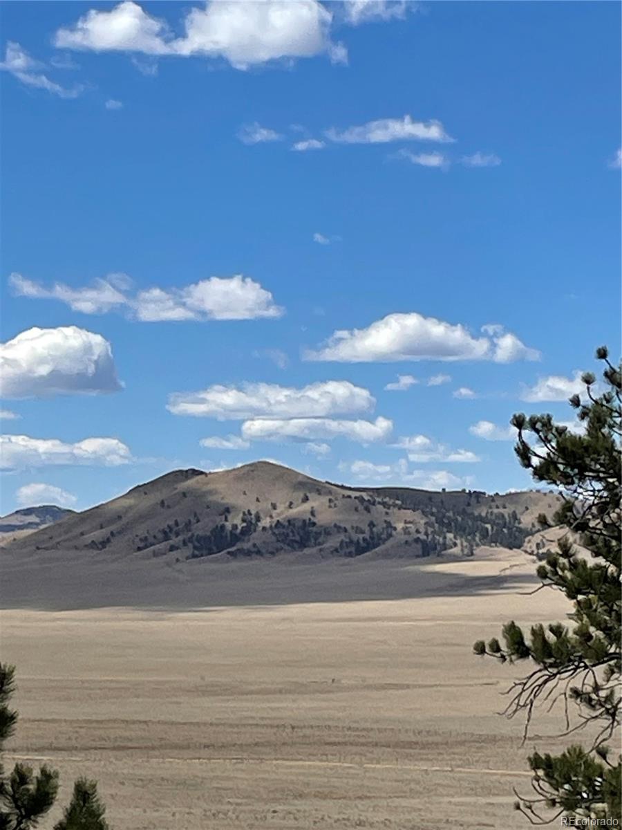 2030 Puma Hills Road Lake George, CO 80827 - Photo 20 of 36