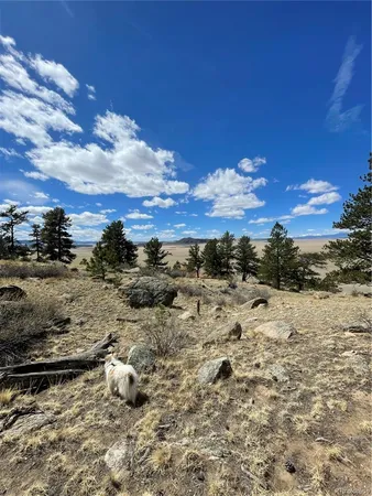 $249,000 | 2030 Puma Hills Road, Lake George, CO 80827