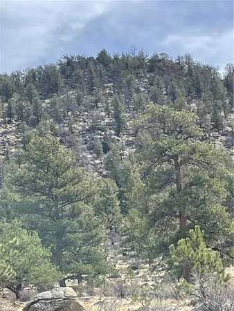 $249,000 | 2030 Puma Hills Road, Lake George, CO 80827