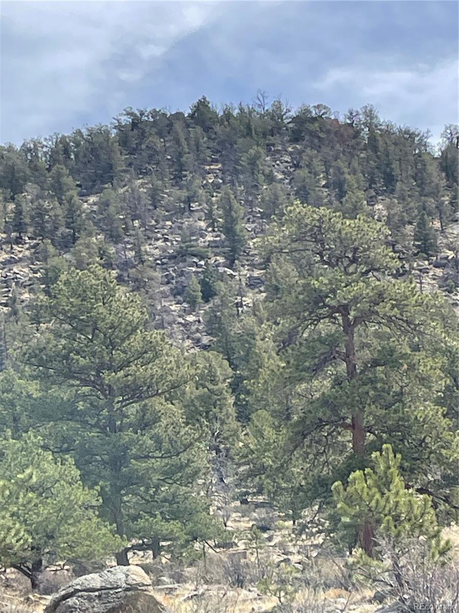 2030 Puma Hills Road Lake George, CO 80827 - Photo 26 of 36