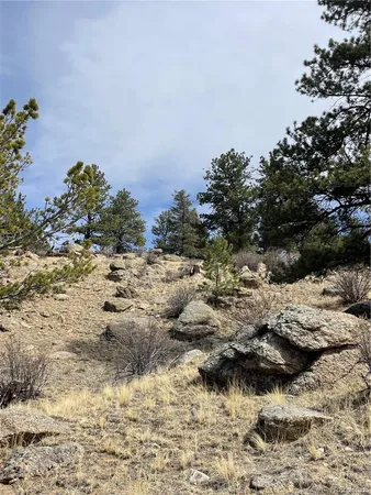 $249,000 | 2030 Puma Hills Road, Lake George, CO 80827