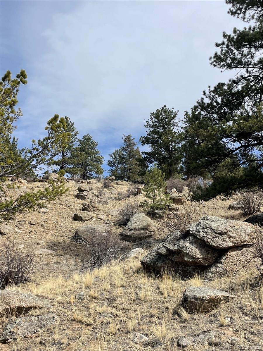 2030 Puma Hills Road Lake George, CO 80827 - Photo 27 of 36