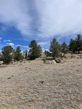 $249,000 | 2030 Puma Hills Road, Lake George, CO 80827