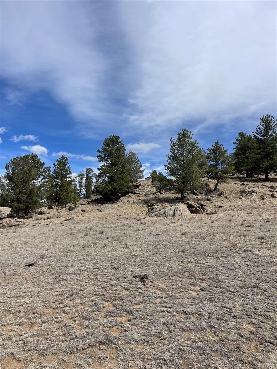 2030 Puma Hills Road Lake George, CO 80827 - Photo 31 of 36