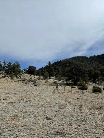 $249,000 | 2030 Puma Hills Road, Lake George, CO 80827