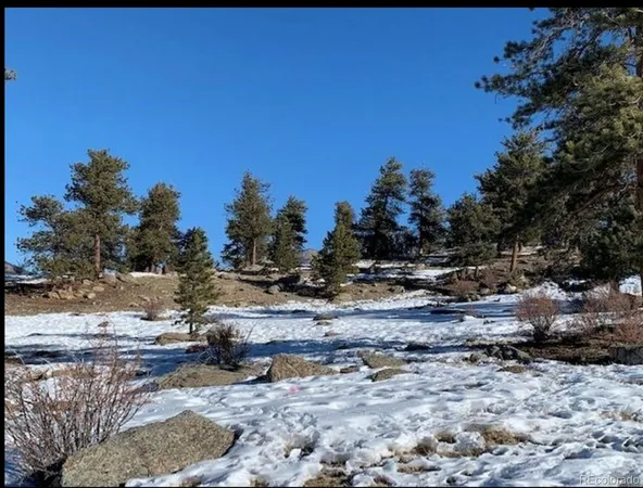 $249,000 | 2030 Puma Hills Road, Lake George, CO 80827