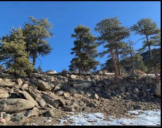 $249,000 | 2030 Puma Hills Road, Lake George, CO 80827