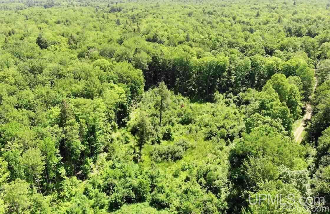 Tbd Light Blue Road, Unit LOT 177 Nisula, MI 49952 - Photo 31 of 37
