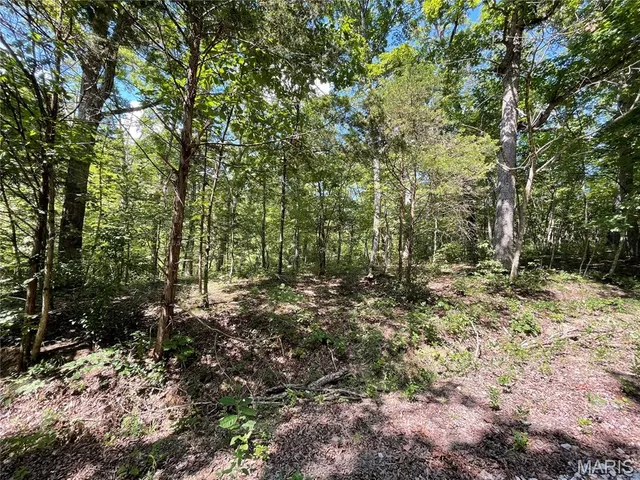 $27,500 | 3956-3960 Red Bud Drive, Catawissa, MO 63015