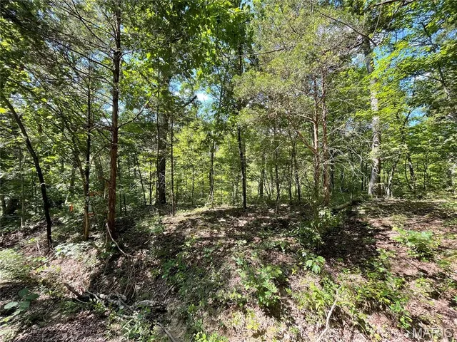 $18,000 | 3956-3960 Red Bud Drive, Catawissa, MO 63015