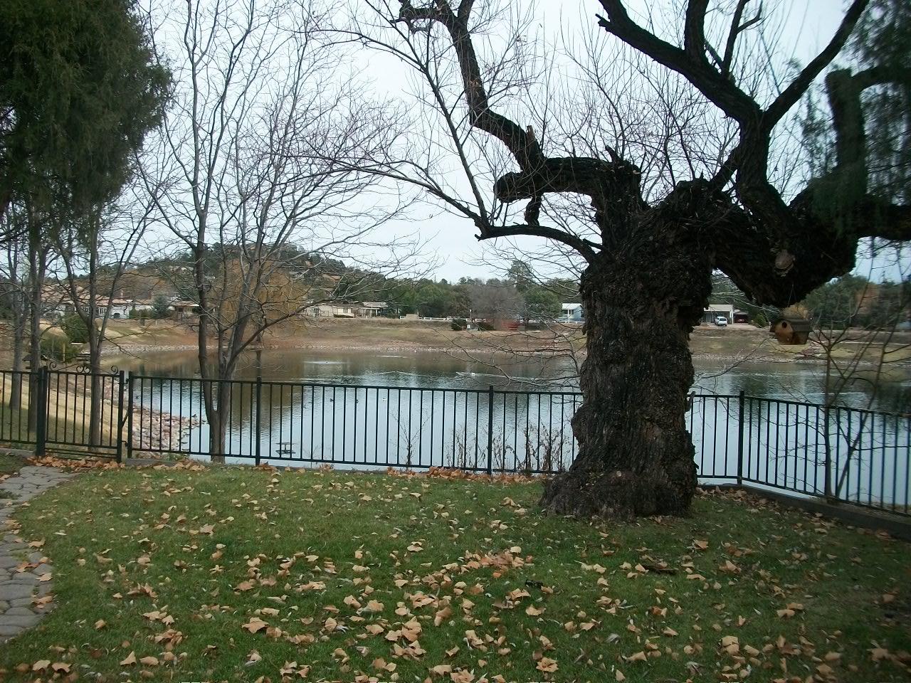 117 North Pinecrest Road Payson, AZ 85541 - Photo 1 of 25 Gallery Image 1